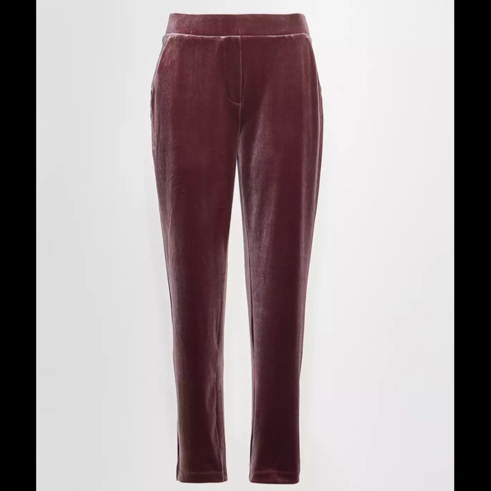 Velvet Tapered Pull On Pants